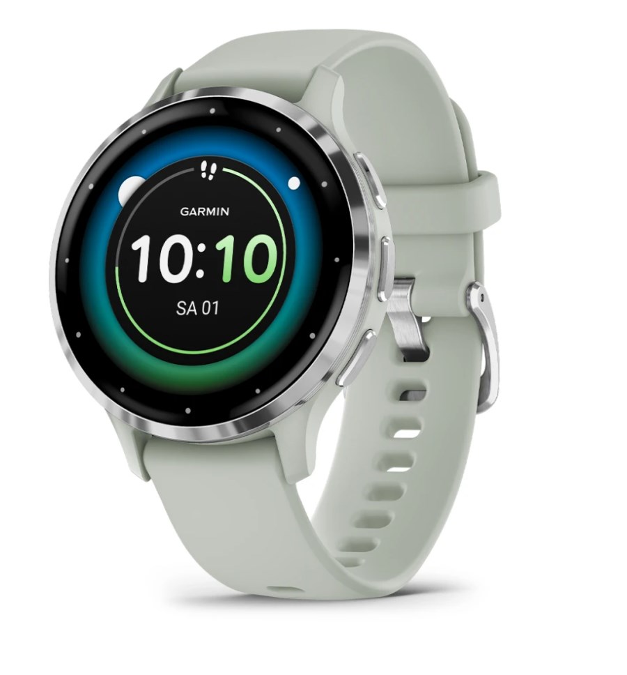 Garmin 010-02785-01 Smartwatch Wi-Fi Silver / Grey