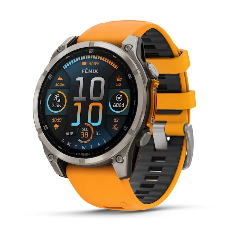 Garmin 010-02904-11 Smartwatch Wi-Fi