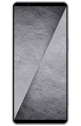 Sony Xperia 1 VIII 256 GB Silver 5G