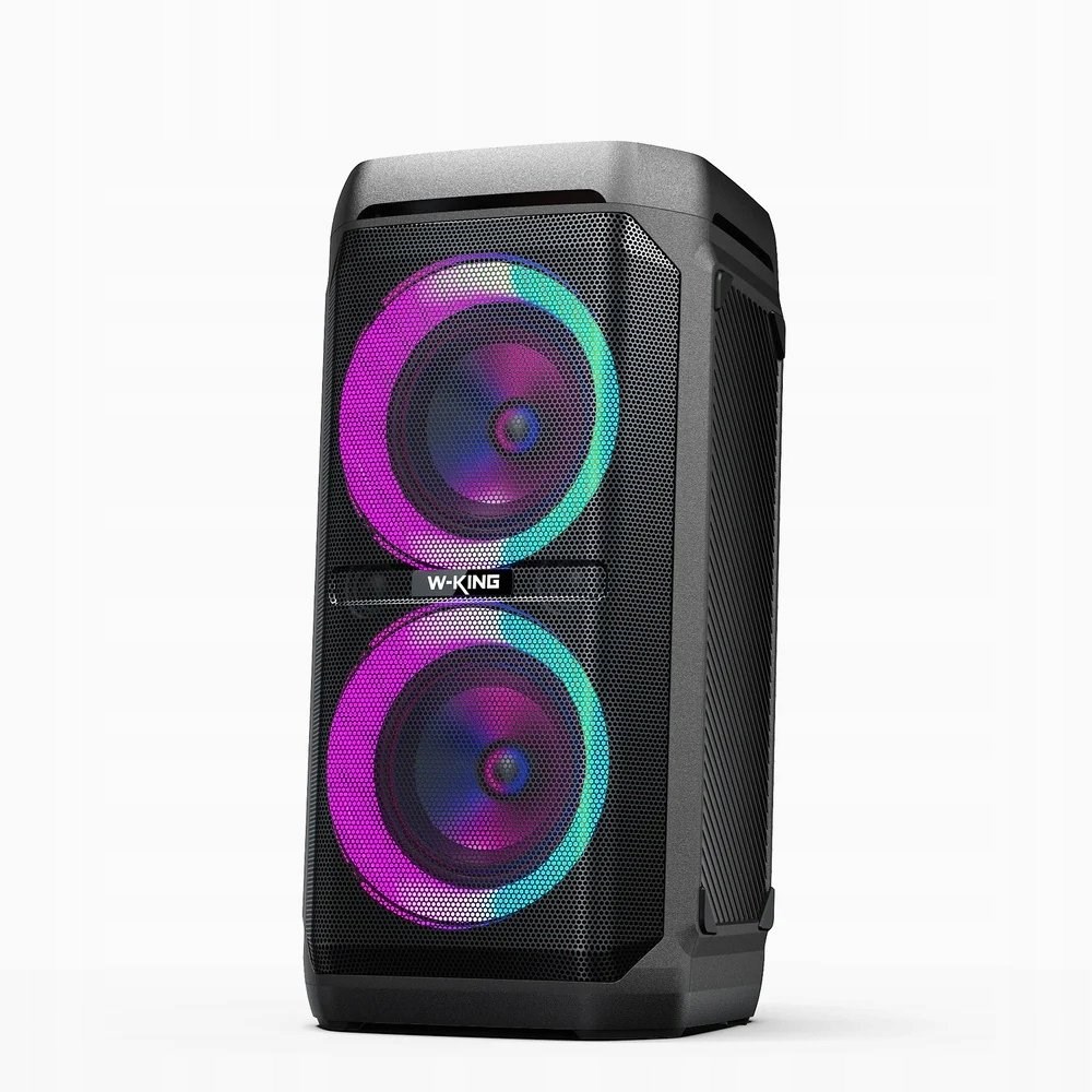 W-KING T11 Wireless Bluetooth Speaker – Black T11-BLK Wired and wireless 100 W